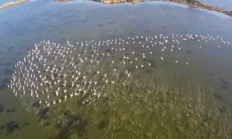 Otklonjen kvar na pumpi Đerane u Solani