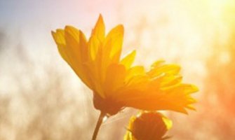 Danas veoma toplo, na sjeveru kratkotrajna kiša