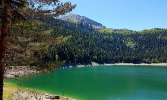 Jeste li čuli za durmitorsku izreku: Moj zaludnji odu na Savinu vodu