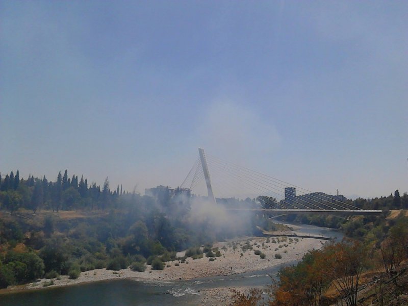 20050127102140420100322422101149229o