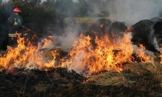 Nikšićanin uhapšen zbog podmetanja požara u mjestu Golija