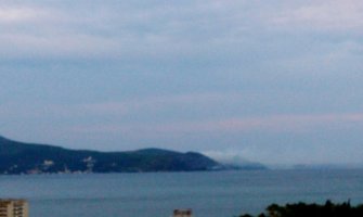 Požar na Luštici: Vatrogasci se borili sa vatrom cijele noći