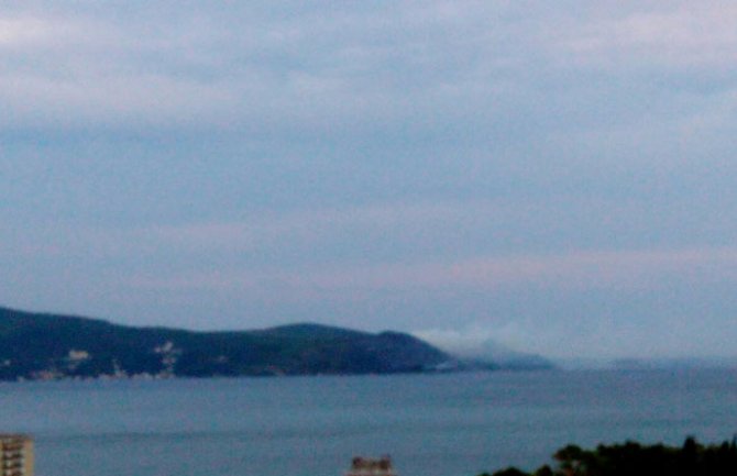 Požar na Luštici: Vatrogasci se borili sa vatrom cijele noći