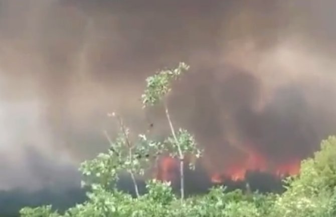 Požar se naglo razbuktao, u toku evakuacija stanovništva na Luštici i Bigovu(VIDEO)