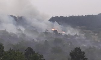 Lokalizovan požar u mjestu Krstac