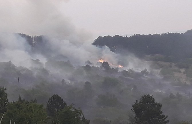 Lokalizovan požar u mjestu Krstac