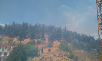 Uslikan piroman sa Ljubovića?