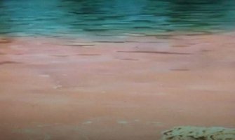 Bijelo Polje: Inspektori istražuju porijeklo crvene tečnosti u Limu