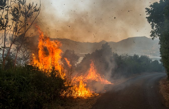 Najteža situacija u Tivtu, na Cetinju izgorela kuća, požar i u Ulcinju