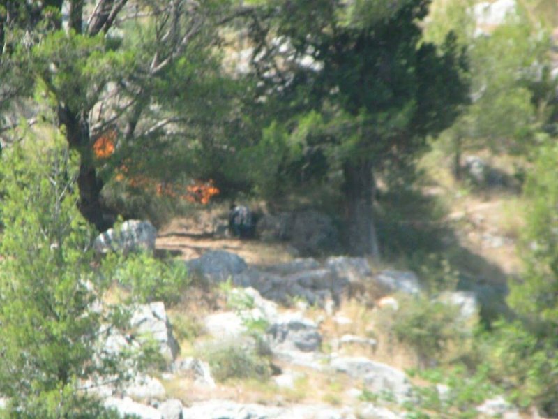 201082118651820169631401061880274915501931n