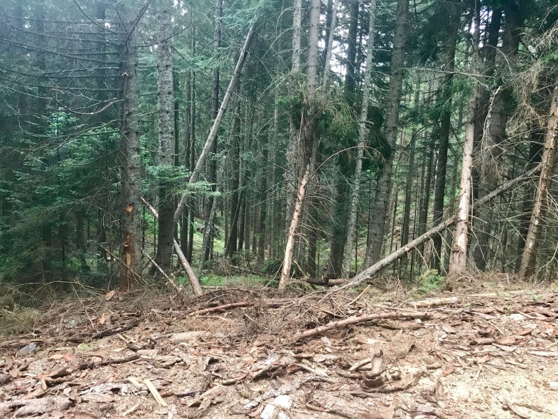 6AD1CC7A65E347F19C792FC4EEBA1A65