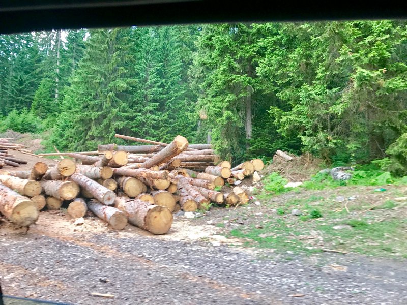 DF9C53144E854875ADB6BD925E032AFA