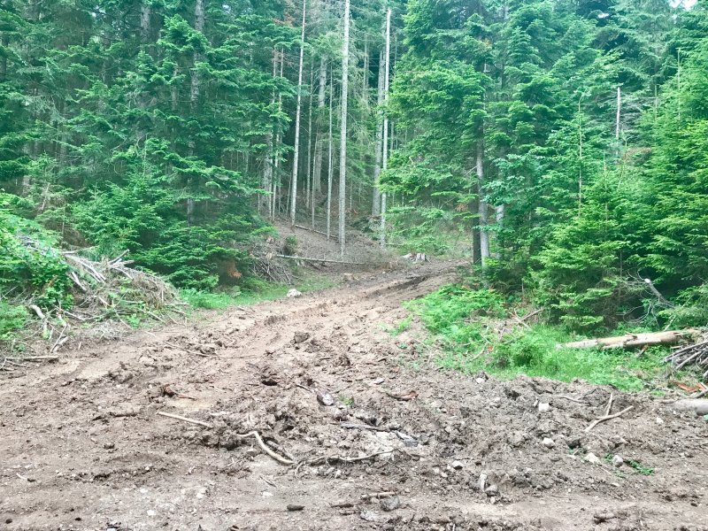 B57DA9F977874D6CB2E64A86C262F59C