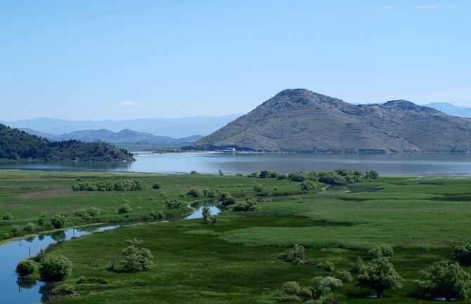 Zbog niskog vodostaja privremeni zabran ribolova na Skadarskom jezeru