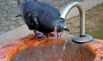 Stručnjaci upozorili: Ovo je bio najtopliji jun ikad