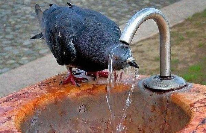 Stručnjaci upozorili: Ovo je bio najtopliji jun ikad