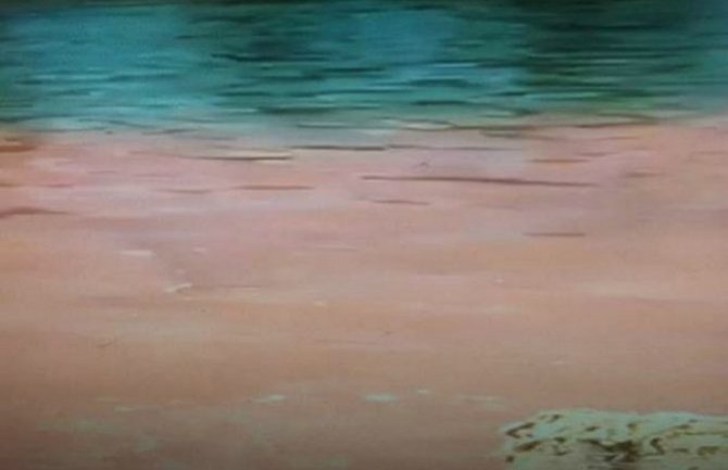 Obradović: Krv teče Limom, primjereno kazniti odgovorne