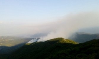 Lovački savez CG: Požari u HN nanijeli štetu divljači