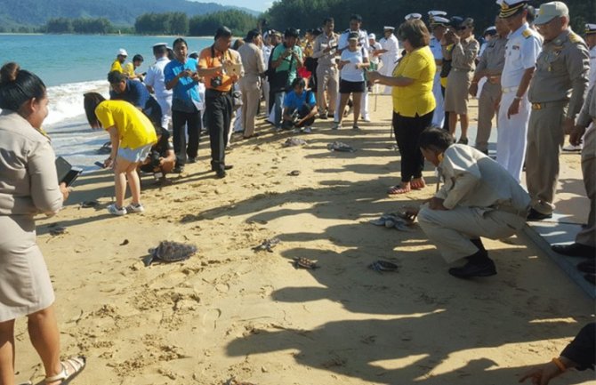 Da kralj duže živi: Preko hiljadu kornjača pustili u more u čast proslave rođendana