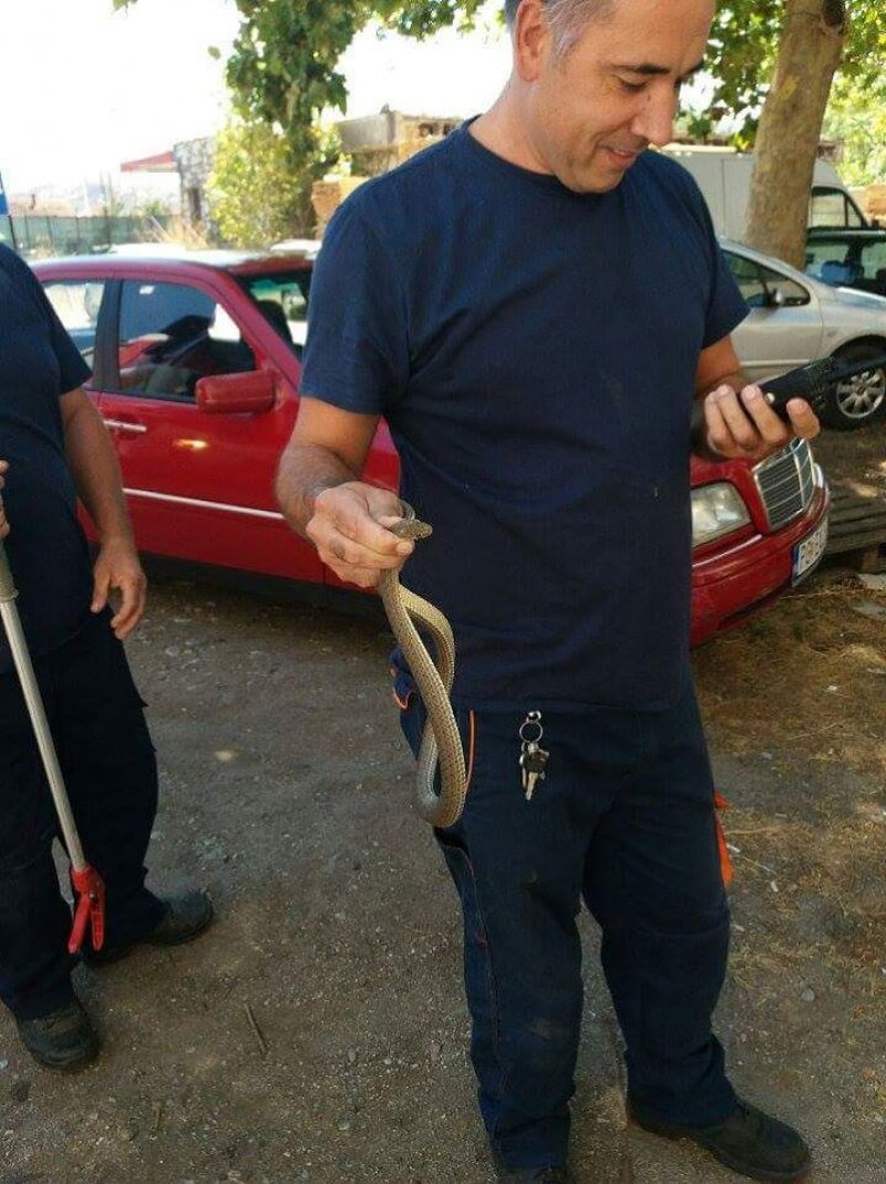 20476237871627039651971293216004273071900n