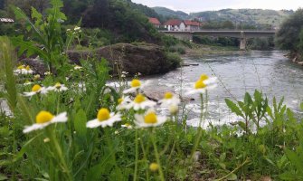 Narednih dana toplo i sunčano, temperature do 40 stepeni
