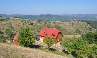 Čobanin odveo bikove na ispašu a oni ga raskomadali