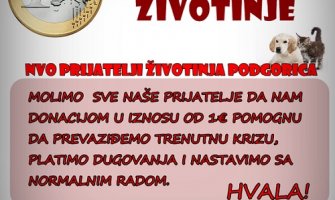 Prijatelji životinja: Donacijom od 1€ spasite život nekoj bespomoćnoj životinji