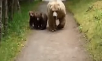 Pošao u park i susreo se oči u oči sa medvedom (VIDEO)