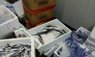 Nelegalni ribolov: Inspekcija oduzela 325 kilograma dagnji, ribe i prstaca