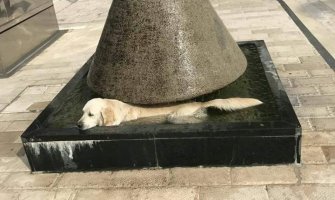 I danas sunčano i veoma toplo, do 41 stepen