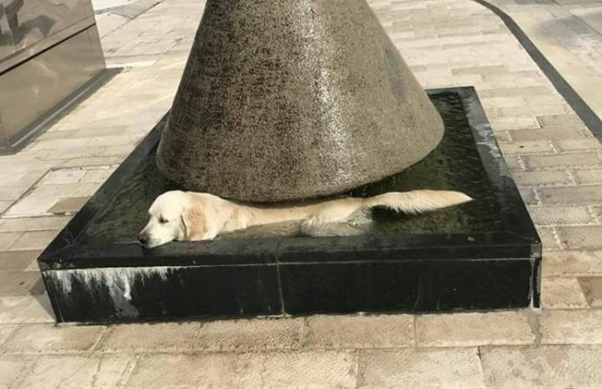 I danas sunčano i veoma toplo, do 41 stepen