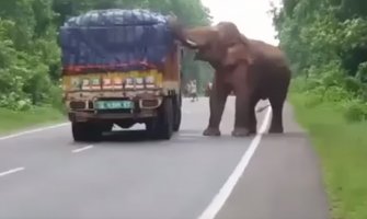 Slon zaustavio kamion nasred ulice (VIDEO)