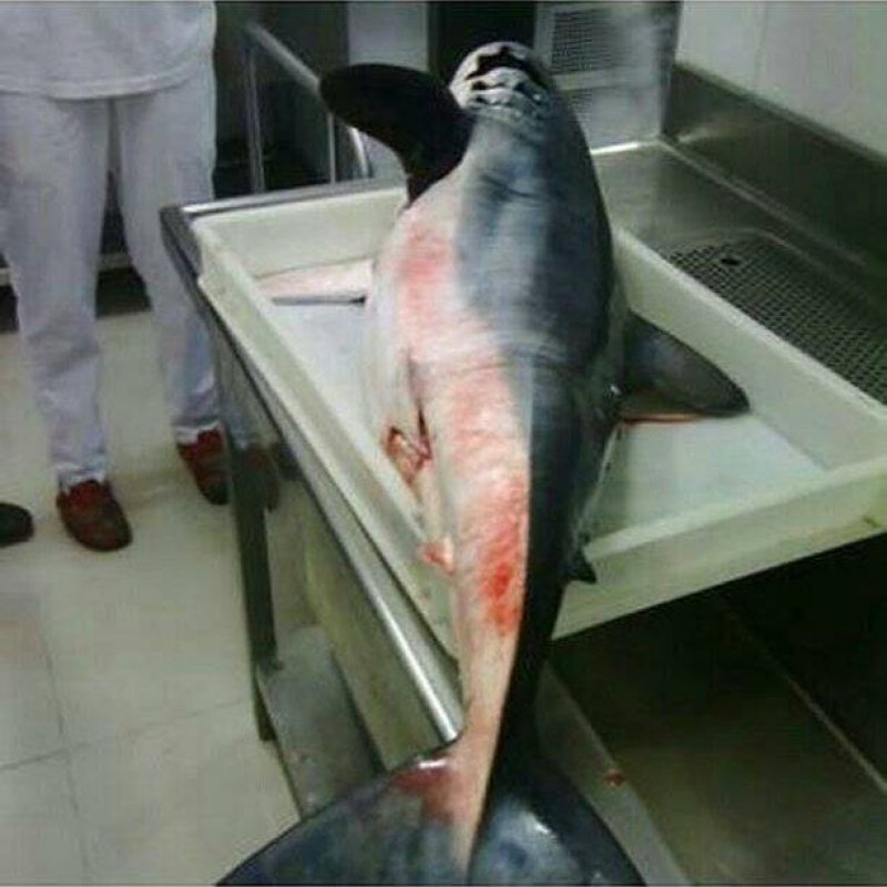 206383848777586223721466882244229605484619n