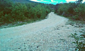 Nikšić: Podnijeta inicijativa Grboviću za asfaltiranje puta do azila za pse 