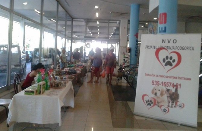 Humanitarni bazar: Pomozimo ugroženim životinjama