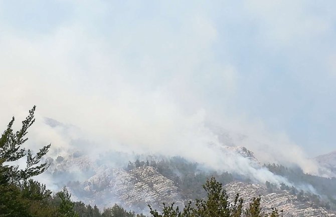 Požar na Lovćenu se širi, situacija kritična