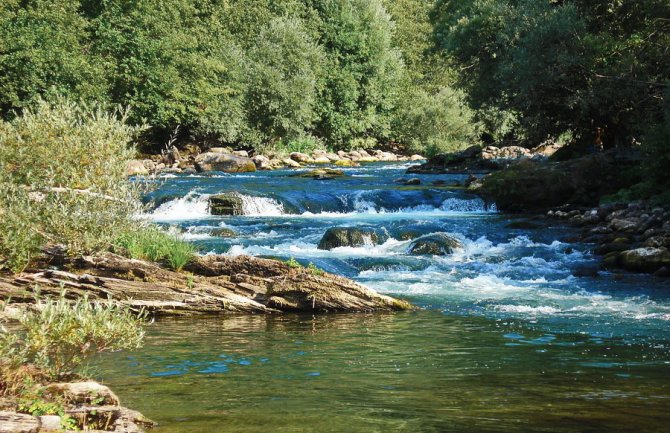 Inspektor spasio ženu na Limu: Davila se u brzacima