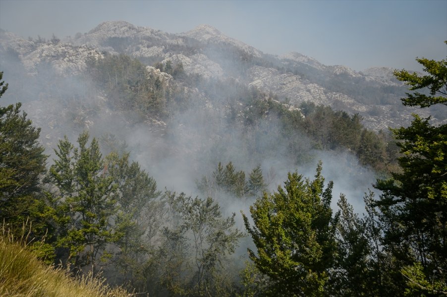 2017081622527072324983524Web