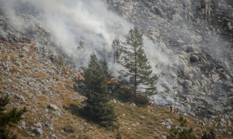 Požari i danas u CG, gori u devet opština
