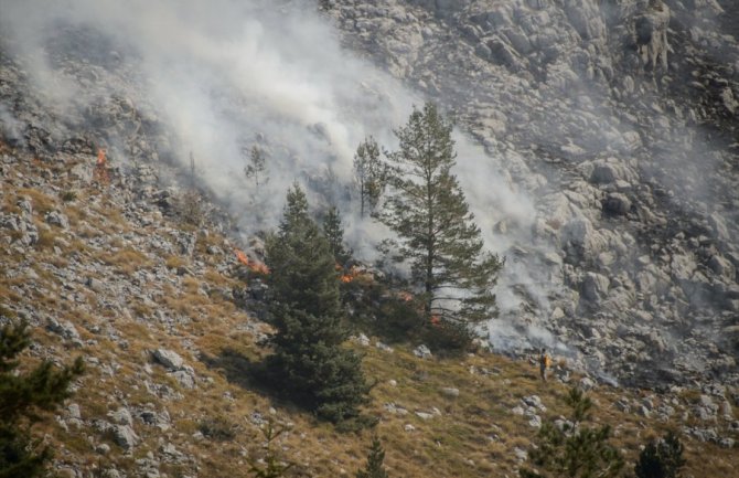 Požari i danas u CG, gori u devet opština
