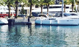 Delfini se odomaćili u zalivu Boke (FOTO)