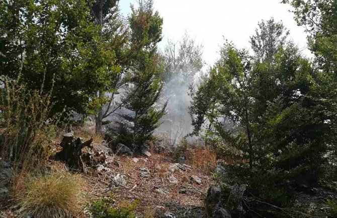 Gusinje i Cetinje pod vatrenom stihijom, stigli kanaderi