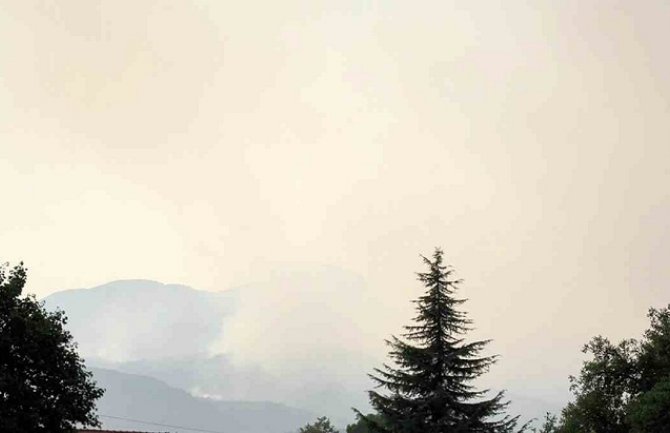 Požar na Lovćenu: Odbranili šest kuća