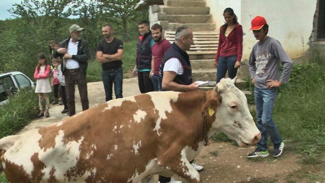 image00205d15f843769391d7df62744dc3b8fdf13471de7773bc4160667b3af546d10066bV