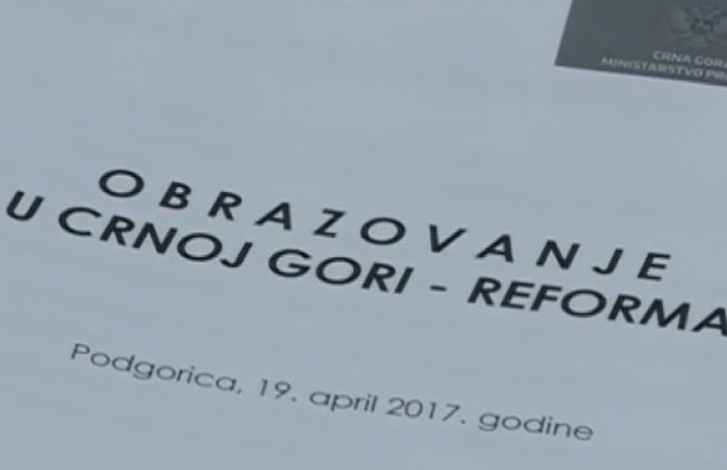 Ako se utvrdi da je riječ o plagijatu, prijeti i kazna zatvorom