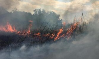 U požaru na Velikoj plaži izgorjela baraka