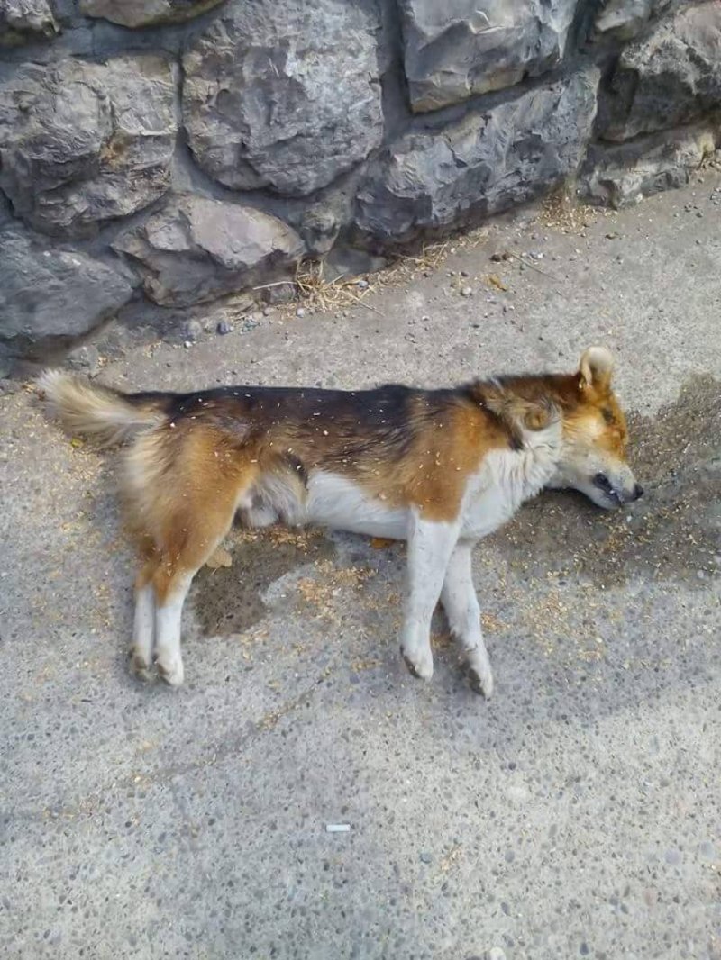 2124558610214531123059762175551120n