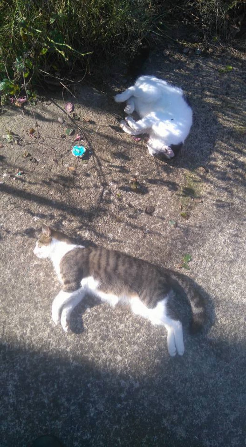 582efa8138544befbb9a31320a0a0a6715129792102116283030910771559450352npreviewOrg