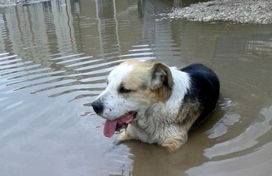 58b58f85657847cd94c36f010a0a0a67dzonson1preview