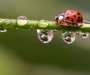 Narandžasti meteoalarm: Danas kiša, moguće vremenske nepogode